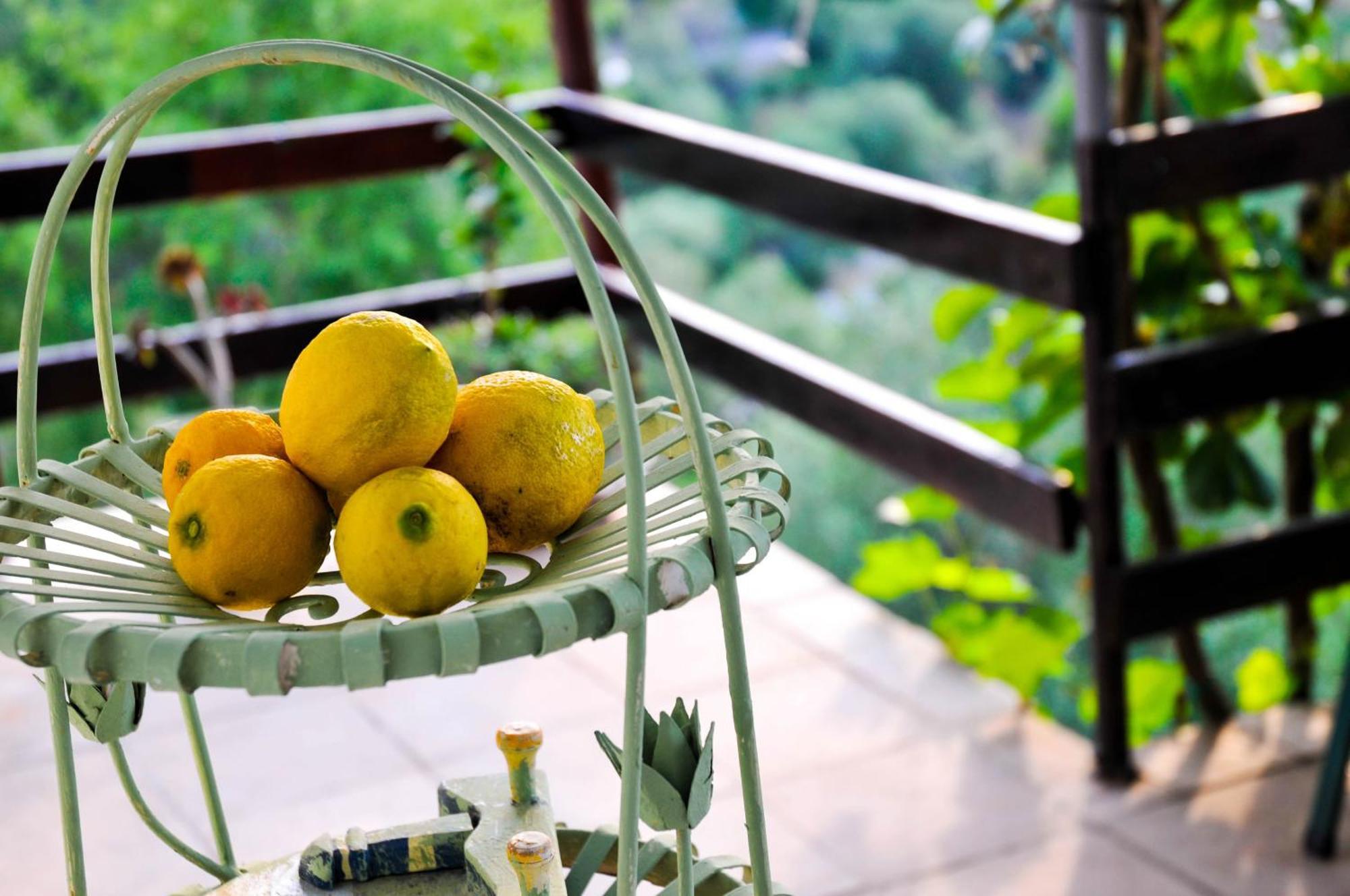 Bed and Breakfast Bellavista Peljesac Peninsula Dubrava  Номер фото